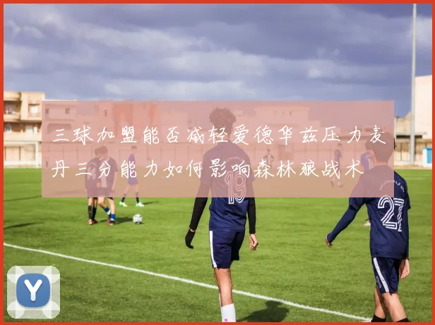 三球加盟能否减轻爱德华兹压力麦丹三分能力如何影响森林狼战术