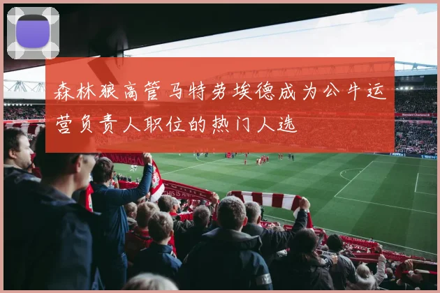 森林狼高管马特劳埃德成为公牛运营负责人职位的热门人选