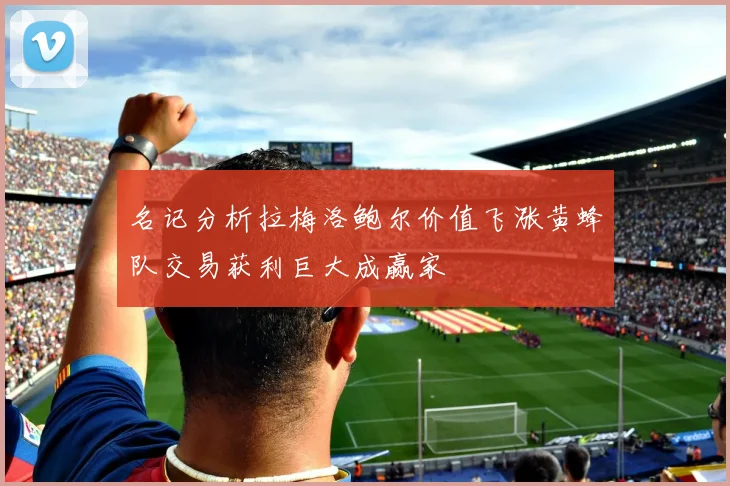 名记分析拉梅洛鲍尔价值飞涨黄蜂队交易获利巨大成赢家