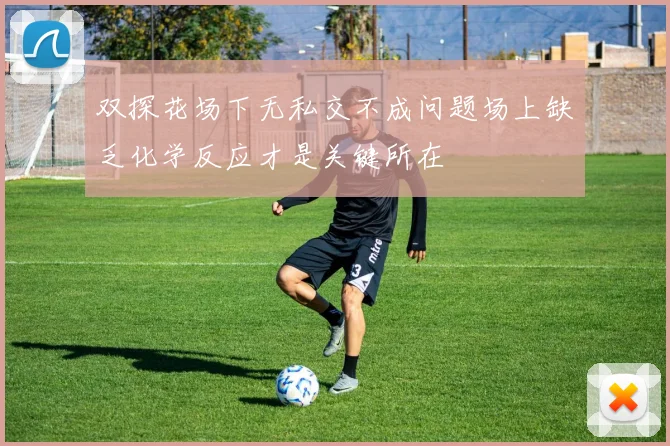 双探花场下无私交不成问题场上缺乏化学反应才是关键所在
